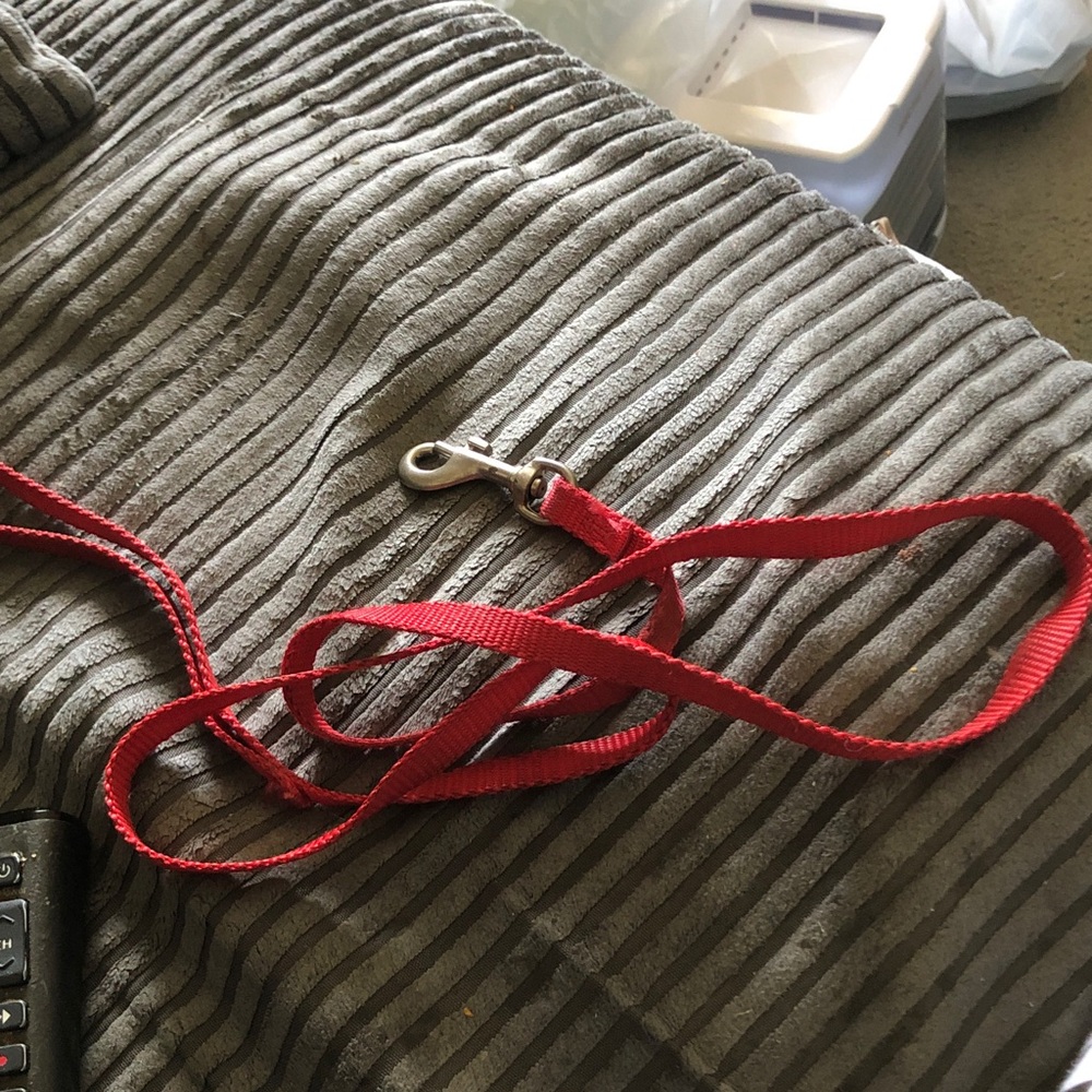 Red Nylon Dog Leash - Classic Everyday Leash